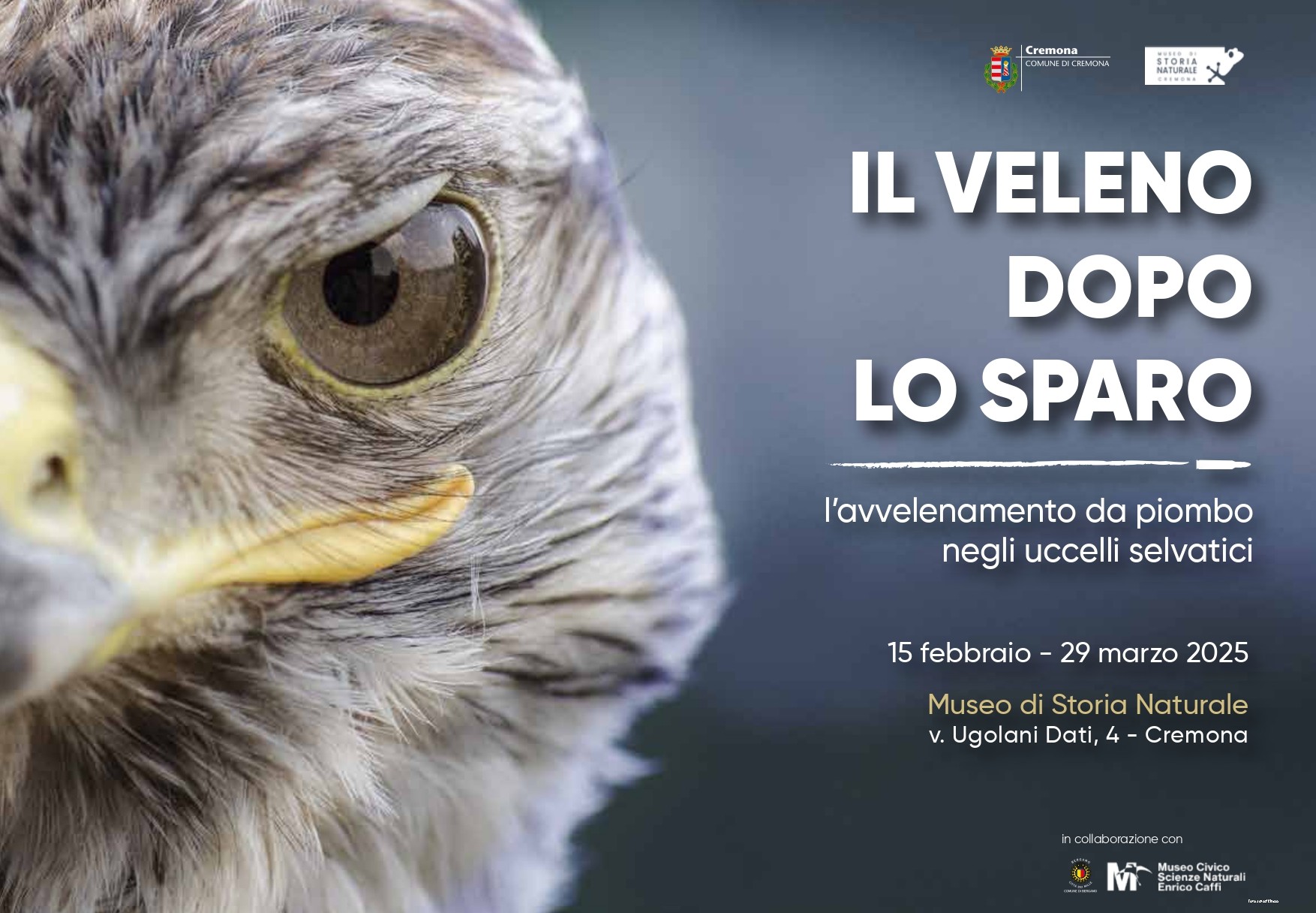 MOSTRA "Il Veleno Dopo Lo Sparo - L'avvelenamento da piombo negli uccelli selvatici"